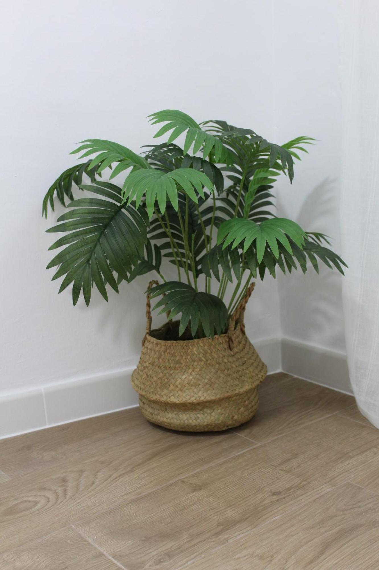 Apartment Purinma Homes